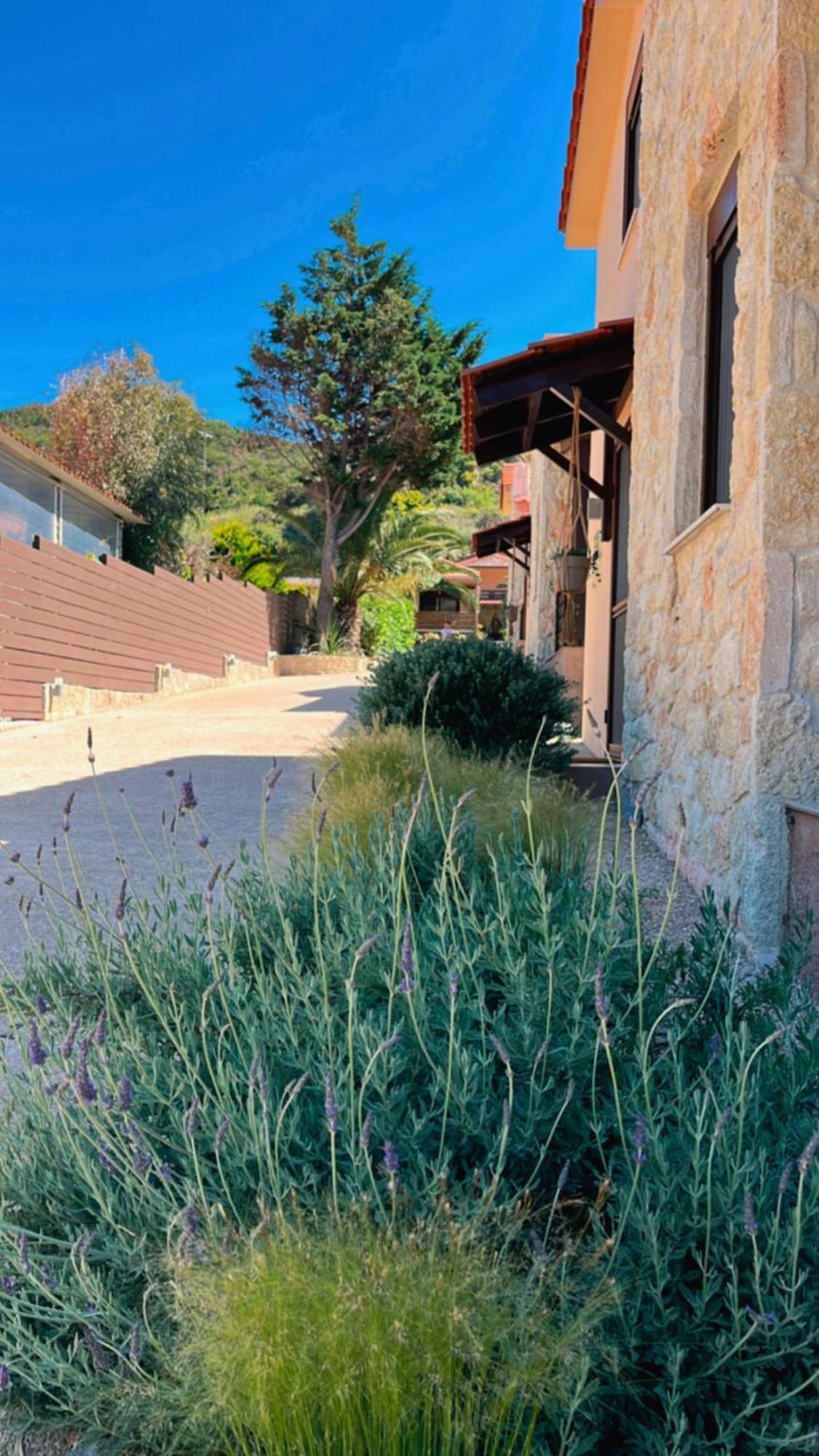 Palma Seaside Villa 1 Sarti Zewnętrze zdjęcie